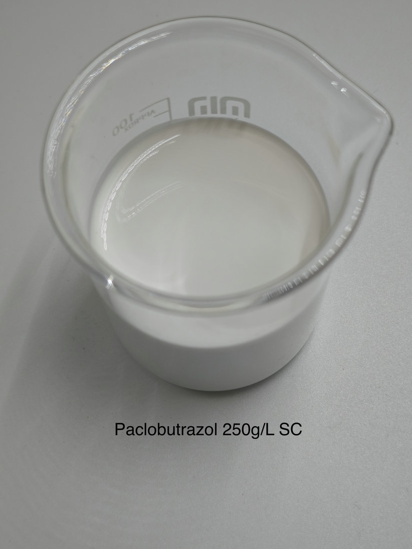 Paclobutrazol 250g/L SC